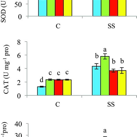 Activities Of Superoxide Dismutase Sod A Catalase Cat B And