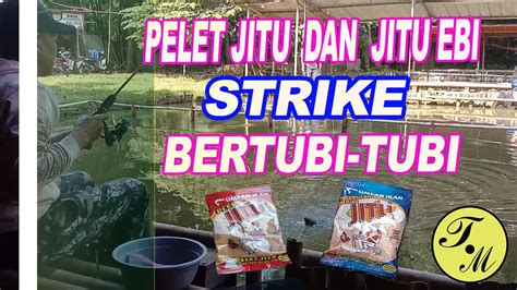 Pelet Jitu Dan Jitu Ebi Strike Bertubi Tubi Youtube