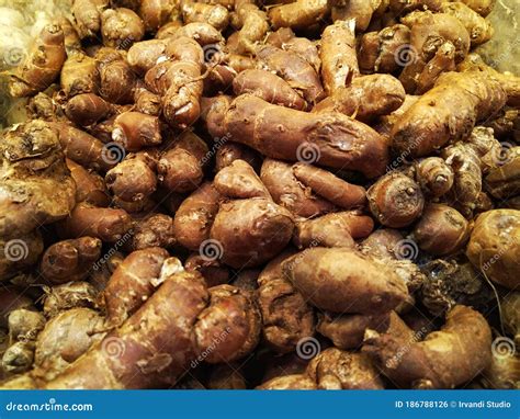 Ginger Zingiber Officinale Is A Rhizome That Is Very Popular As A