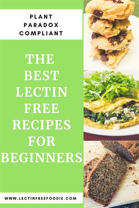 Starting a Lectin Free Diet? A Collection of Recipes to Get You Started ...