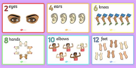 Counting In 2s Body Parts Display Posters S Teacher Made