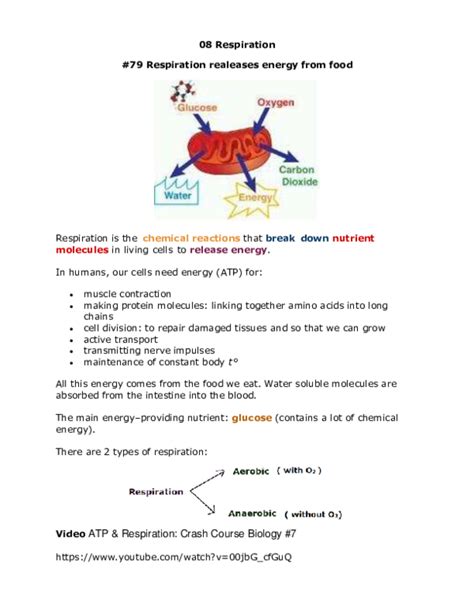 Pdf Respiration Biology Notes Igcse