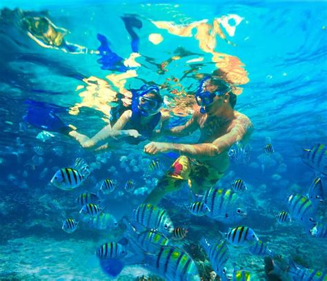 6 Best Oahu Snorkel Tours In 2023