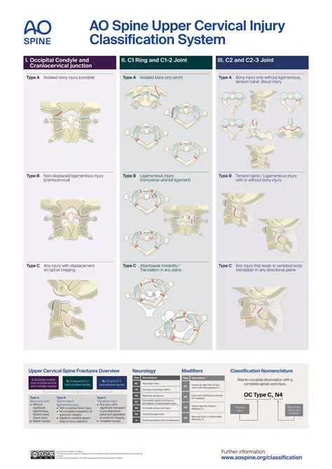 Ao Klassifikation Wirbels Ule Ars Neurochirurgica