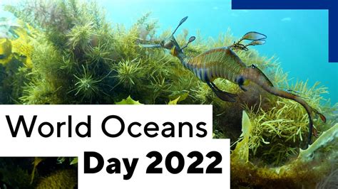 World Oceans Day 2022 Youtube