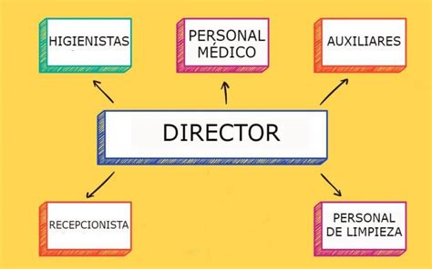 Figuras Indispensables En El Organigrama De Tu Cl Nica Dental Ascensium