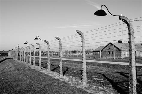 The Blogs: Between Auschwitz and Gaza | Lev Topor | The Times of Israel