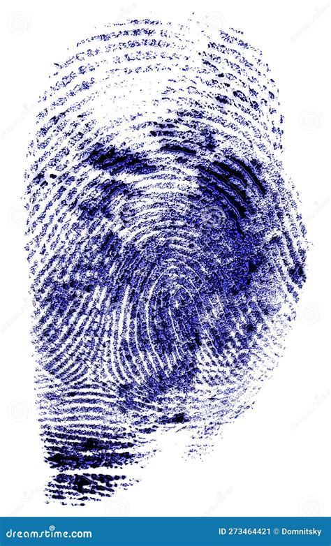 Blue Fingerprint Isolated On White Stock Photography Cartoondealer