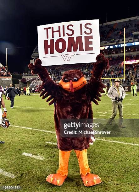 Virginia Tech Hokies Mascot Photos and Premium High Res Pictures ...