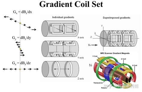 Mri原理简述：从自旋到序列 知乎