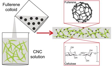 Applications Of Nanocellulose Nanocarbon Composites Focus On