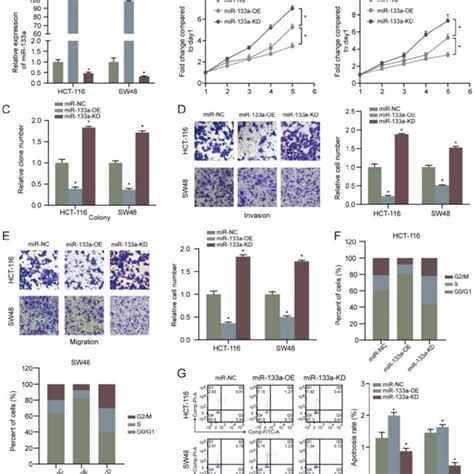 High MiR 133a Expression Suppresses Proliferation Invasion Migration