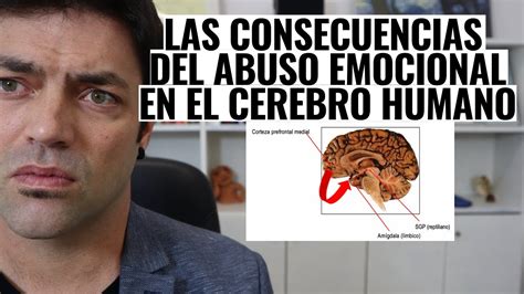 Las Consecuencias Del Abuso Emocional En El Cerebro Humano