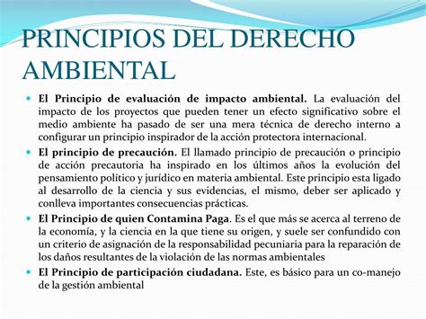 PPT LECCION XVII PROTECCION INTERNACIONAL DEL AMBIENTE PowerPoint