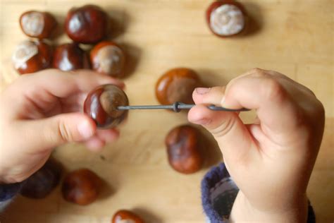 Kastanien Basteln Mit Kindern Anleitungen Ideen HABA