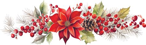 Acuarela Dibujo Navidad Guirnalda Desde Plantas Rojo Flor De Pascua