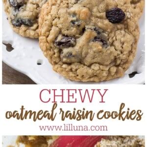 Best Oatmeal Raisin Cookies Soft And Chewy Lil Luna