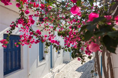 Fototapeta na ścianę uliczka Naoussa Paros Grecja 42384