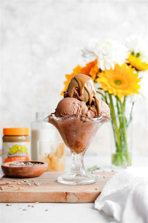 Vegan Chocolate Sunflower Ice Cream The All Natural Vegan