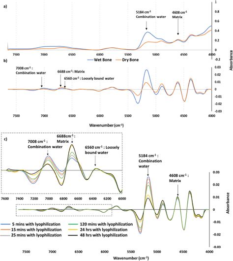 A Raw NIR Spectra Of Wet Hydrated And Dry Bone B NIR Second