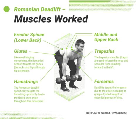 The Ultimate Romanian Deadlift Rdl Guide