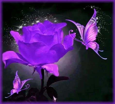 Purple Roses and Butterflies | Rose and Butterflies Beautiful!! | Purple Madness~ | Pinterest ...