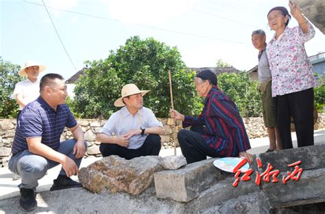 虢正贵到花垣保靖龙山调研督导抗旱减灾森林防火工作 湘西 新湖南