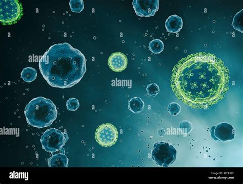 Human Bacteria Hi Res Stock Photography And Images Alamy