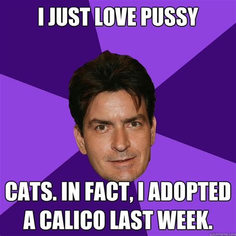 I Just Love Pussy Cats In Fact I Adopted A Calico Last Week Clean Sheen Quickmeme