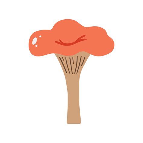 Hand Drawn Vector Illustration Of Mushrooms Fungus Cartoon Style