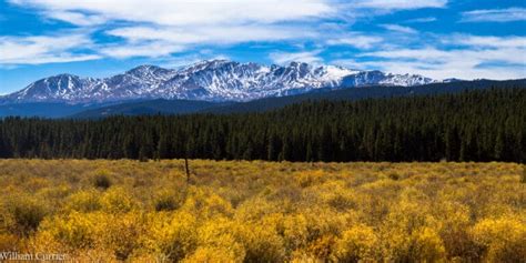 Mount Massive – near Leadville, CO | Hiking trails and activities