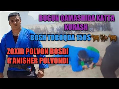 Bugun Qamashida Katta Kurash Bosh Toboq Zoxid Polvon Ganisher Polvondi