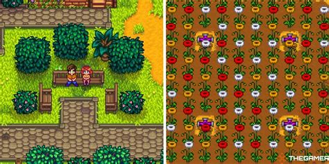 How To Grow Poppies In Stardew Valley