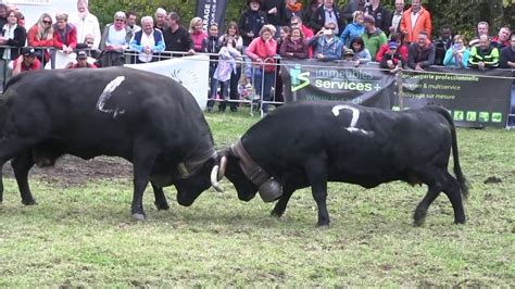 1er Combat De Reines De Vaches D HERENS Aux Avants 2017 YouTube