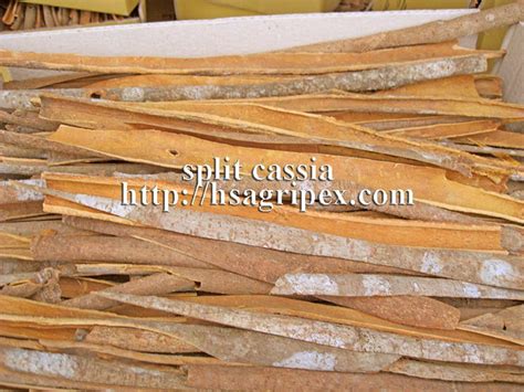 Split Cassia Products Vietnam Split Cassia Supplier