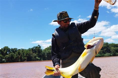 Proibição de pesca predatória começa nesta sexta feira 1º no Rio Paraná