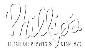 Phillips Interior Plants Indoor Landscaping Services Chicago Suburbs