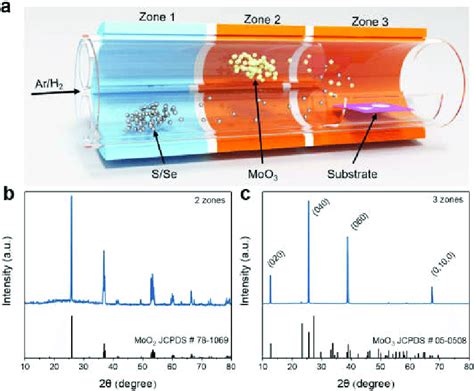 A Schematic Illustration Of Growth Of Monolayer Mos2 Or Mose2 Download Scientific Diagram