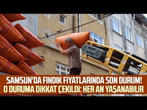 Samsun da fındık fiyatlarında son durum O duruma dikkat çekildi Her