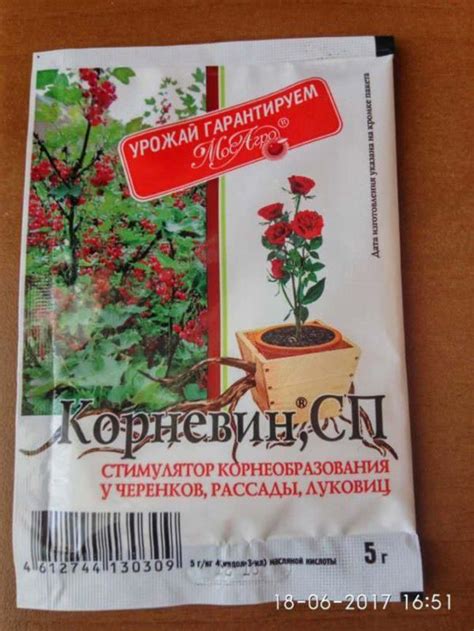 Корневин: инструкция по применению и состав стимулятора роста, способы ...