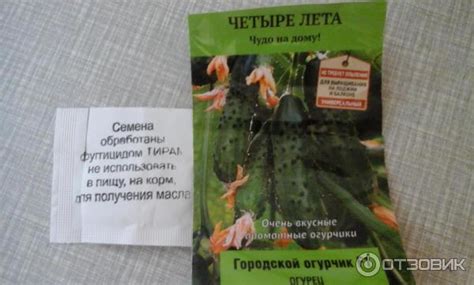 Отзыв о Семена Поиск "Четыре лета. Чудо на дому" Городской огурчик ...