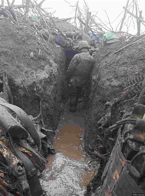 Echoes Of World War I Highlighted In Mud Shattered Trees Of Ukraine