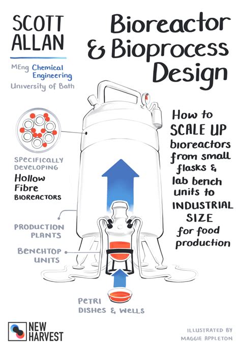 Bioreactor & Bioprocess Design