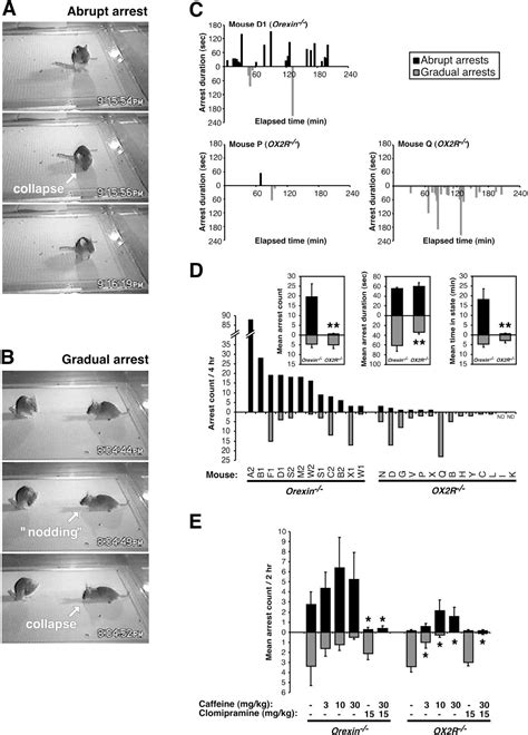 Figure 2 From Distinct Narcolepsy Syndromes In Orexin Receptor 2 And