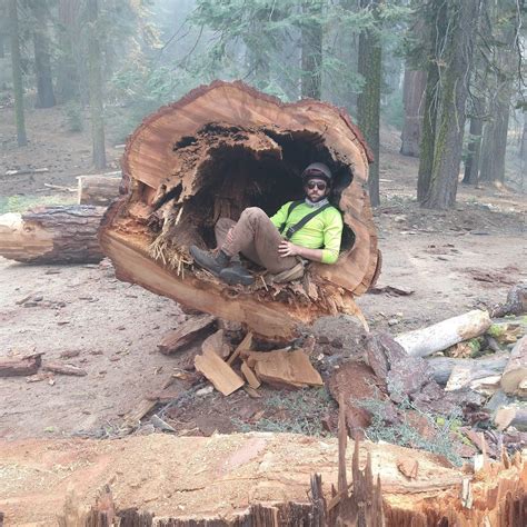 Tourists are flocking to the anderson missouri historic site 5