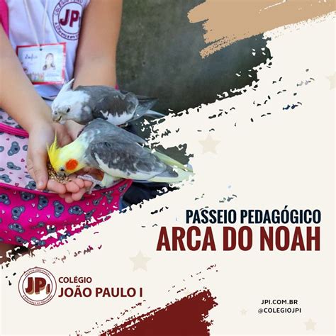 Passeio Pedag Gico Arca Do Noah O Parque De Educa O Ambiental