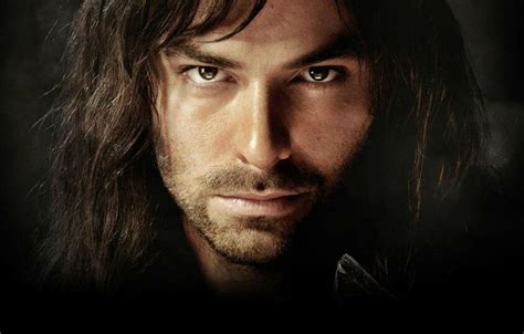 The Hobbit Lord Of The Rings Aidan Turner The Hobbit Fili And Kili