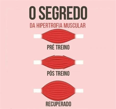 Guia Para Recupera O Muscular P S Treino Dicas De Muscula O