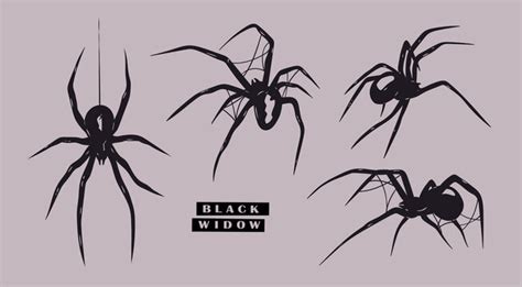 Black Widow Spider Stencil