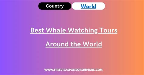 Best Whale Watching Tours Around The World